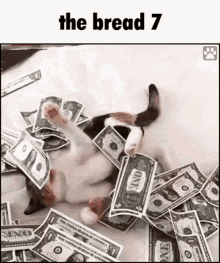 The Bread GIF - The Bread The Bread GIFs
