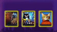 a collection of three cats with the name samuel on the bottom