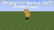 a screenshot of a minecraft character with the words " idk why i thit this but i did it golden sheep "