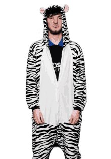 bscompetition zebra
