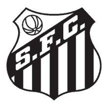 santos soccer soccer club