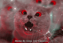 Gina101 Gina101creative GIF - Gina101 Gina101creative Screaming Cat GIFs