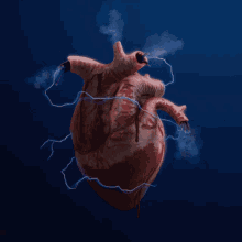 Dskully Heart GIF - Dskully Heart GIFs