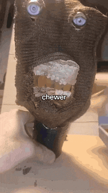 Chewer Chewing GIF - Chewer Chewing Broken Toy GIFs