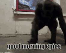 Good Morning Gm Epics GIF - Good Morning Gm Epics Good Morning Epics GIFs