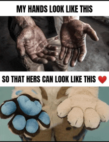 a picture of a man 's hands next to a picture of a dog 's paws