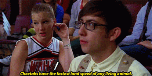 Glee Brittany Pierce GIF - Glee Brittany Pierce Cheetahs Have The Fastest Land  Speed - Discover & Share GIFs
