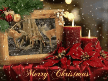 Merry Christmas The Season GIF - Merry Christmas The Season Deer GIFs
