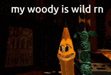 Wild Woody Boaner GIF