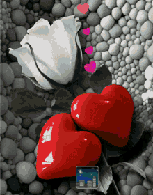 قلوب Hearts GIF - قلوب Hearts Love GIFs