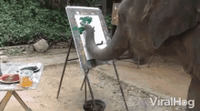 art painting elephant animal tricks viralhog