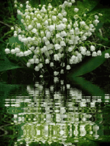 Lily Of The Valley Menna Trussler GIF - Lily Of The Valley Menna Trussler -  Discover & Share GIFs