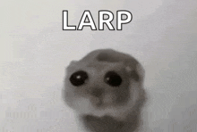 a black and white photo of a hamster with the word larp written on it .