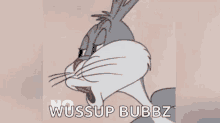 Wussup Bubz No GIF - Wussup Bubz No Bugs Bunny GIFs