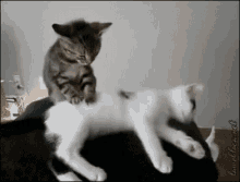 GIF