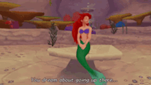 ariel from the little mermaid is talking to a lobster