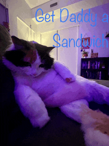 Get Daddy A Sandwich Fat Cat GIF - Get Daddy A Sandwich Sandwich Fat Cat GIFs