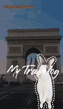 Travel Bunny Travel GIF