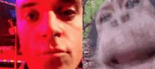 a close up of a person 's face next to a close up of a monkey 's face .