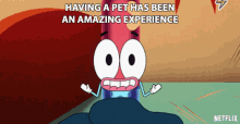 Having A Pet Has Been An Amazing Experience I Love It GIF - Having A Pet Has Been An Amazing Experience I Love It Pet Owner GIFs