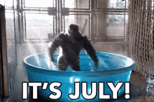July GIF - Its July July GIFs
