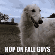 Fall Guys Hop On GIF - Fall Guys Hop On Hop On Fall Guys GIFs