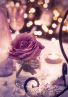 Roses Flower GIF
