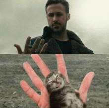 a man is holding a kitten in his hand and the kitten is yawning