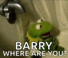 kermit the frog is standing next to a faucet with the words barry where are you written above him