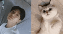 a man is laying on a bed next to a white cat laying on the floor .