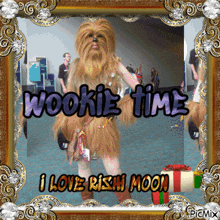 Wookie Time GIF - Wookie Time GIFs
