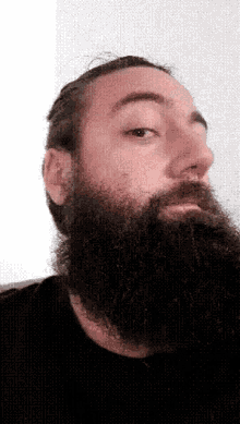 Tiktok Beard GIF - Tiktok Beard GIFs
