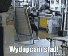 Wydupcam Offtop GIF - Wydupcam Offtop Astrofaza GIFs