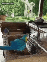 Shower Time.Gif GIF - Shower Time Summer Birds GIFs