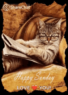 Happy Sunday Have A Great Weekend GIF