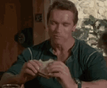 Angry Squinting GIF - Angry Squinting Arnold GIFs