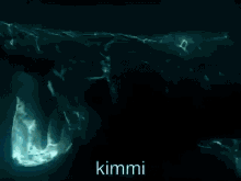 Kimmi Gujum GIF - Kimmi Gujum Shark GIFs