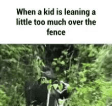 Funny Gorilla GIF - Funny Gorilla When A Kid Is Leaning Too Much Over The Fence GIFs