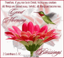good morning blessings flower