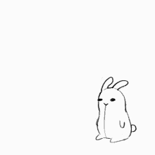 Bunny Drool GIF - Bunny Drool Waddle GIFs