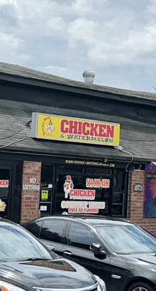 Chicken Chicken And Watermelon GIF
