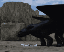 t%C3%BCzet neki how to train your dragon toothless fire her throw up