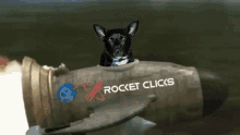 Rocket Clicks Bailey GIF - Rocket Clicks Bailey Dog GIFs