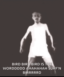 Surfin Bird The Is Word Uta Bar GIF - Surfin Bird The Is Word Uta Bar GIFs