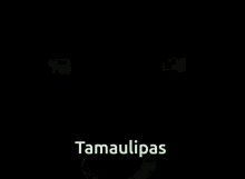 Tamaulipas GIF