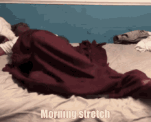 Morning Morning Stretch GIF - Morning Morning Stretch Good Sleep GIFs