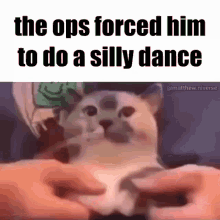 Opps Silly Dance GIF - Opps Silly Dance Cat GIFs