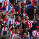 Aficionados Paraguay GIF - Aficionados Paraguay Festejo GIFs