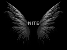 Goodnight Nite GIF - Goodnight Nite Wings GIFs
