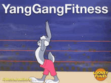 Yang Gang Fitness Bugs Bunny GIF